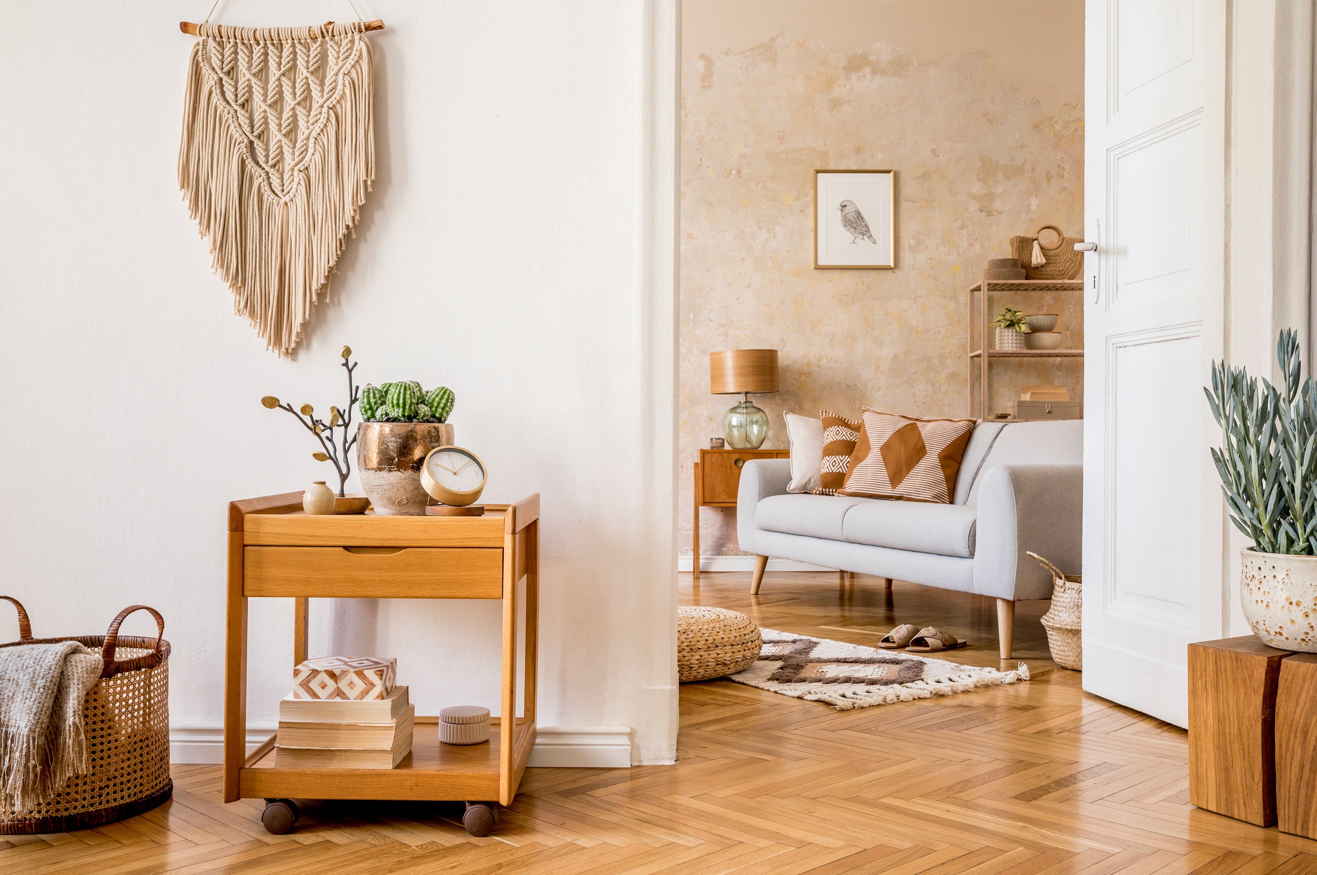 Plus Collection Store